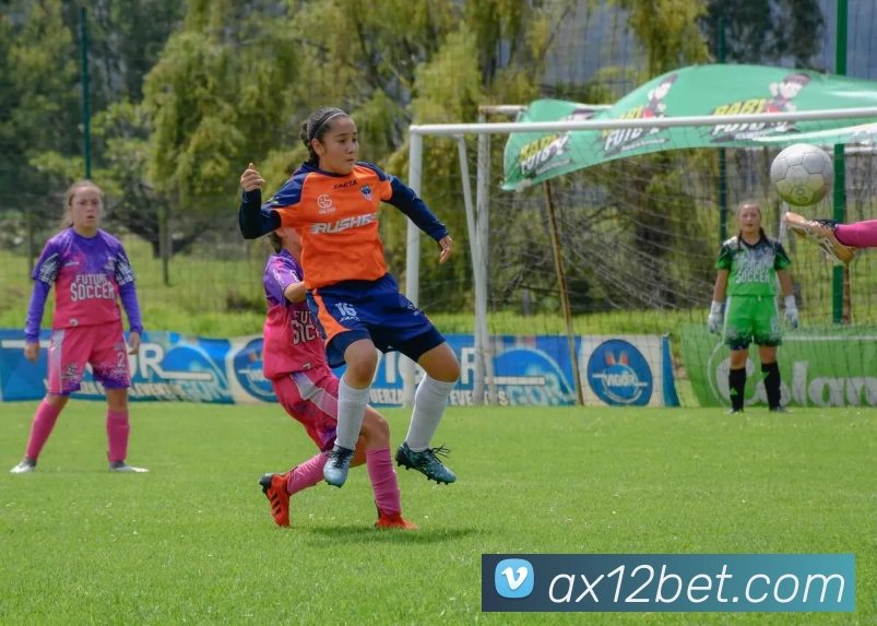 安信12官网平台生态图